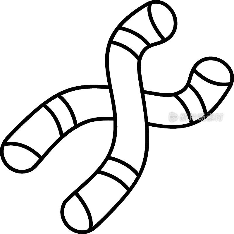 X Y染色体概念，组蛋白矢量轮廓图标设计，器官系统符号，人体解剖符号，人体部分库存插图
